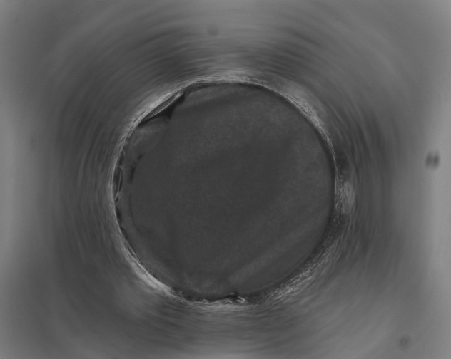 X0000097850389200803281254