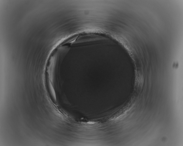 X0000097850391200803281254