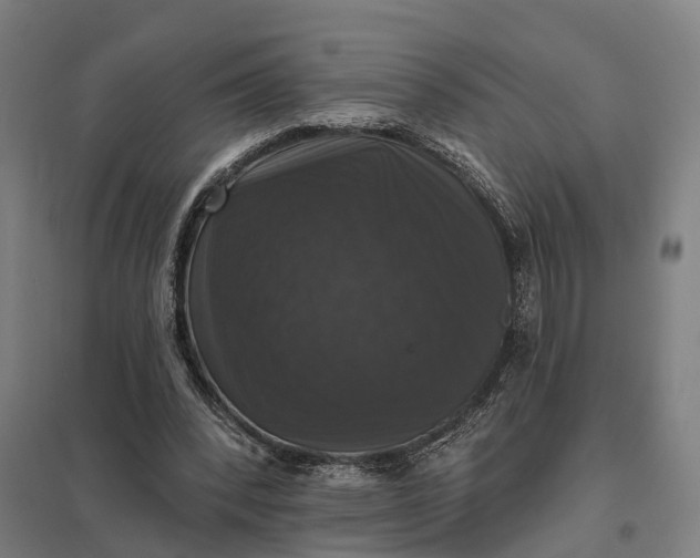 X0000097850392200803281254