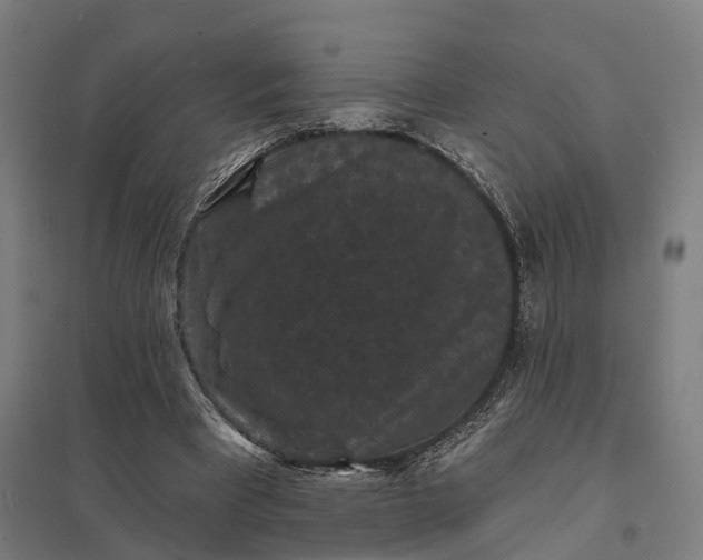 X0000097850393200803281254