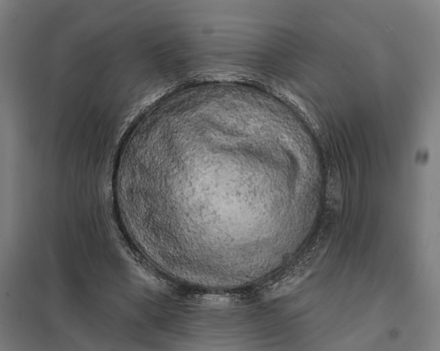 X0000097850394200803281254