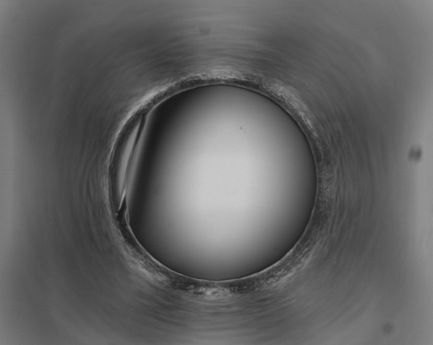 X0000097850395200803281254