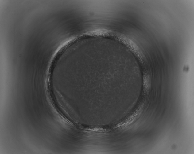 X0000097850396200803281254