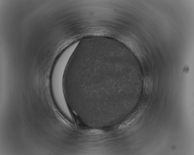 X0000097850397200803281254