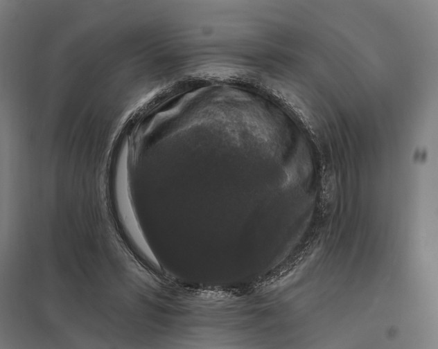 X0000097850399200803281254