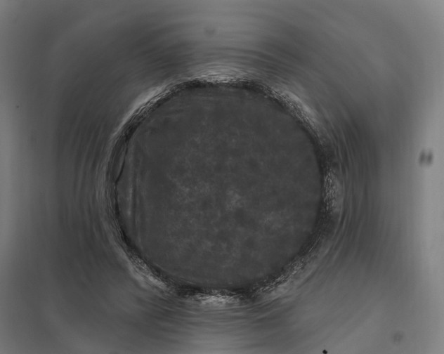 X0000097850400200803281254