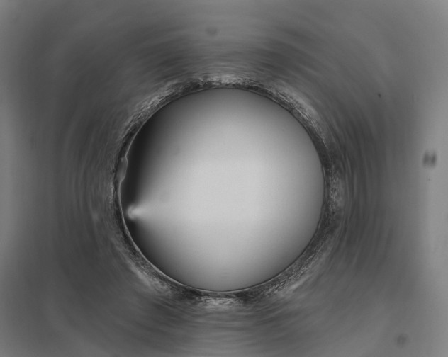 X0000097850401200803281254