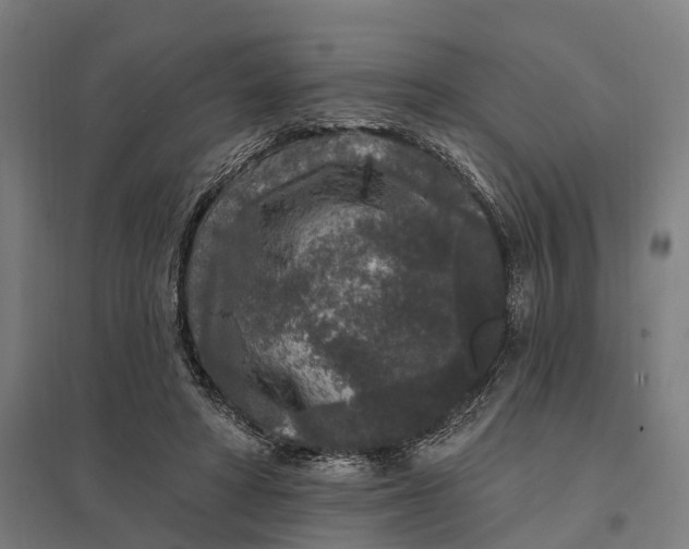 X0000097850402200803281254