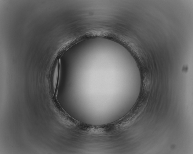 X0000097850403200803281254