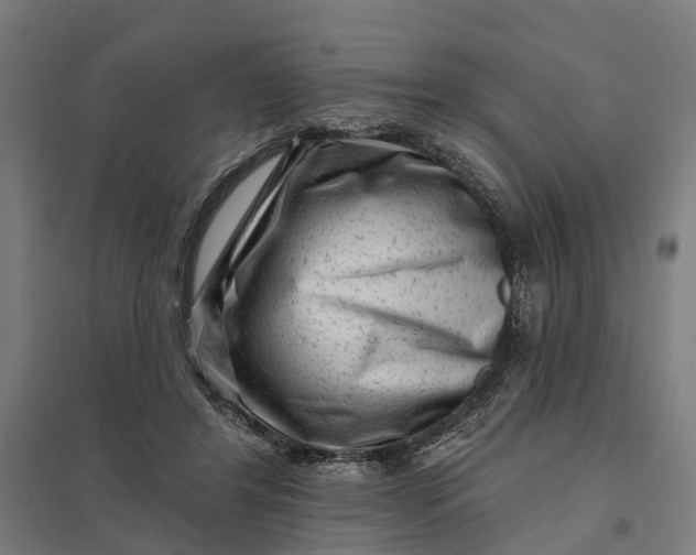 X0000097850404200803281254