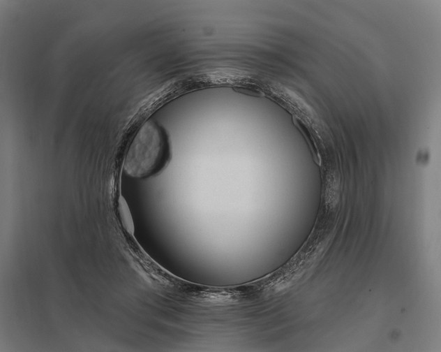 X0000097850405200803281253