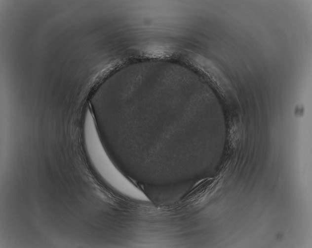 X0000097850407200803281253