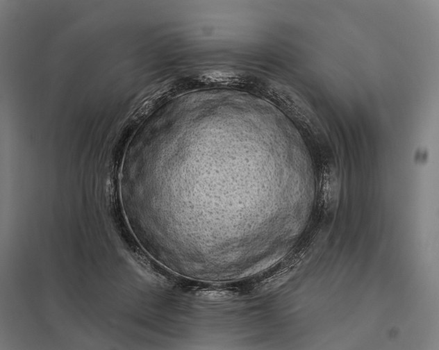 X0000097850408200803281253