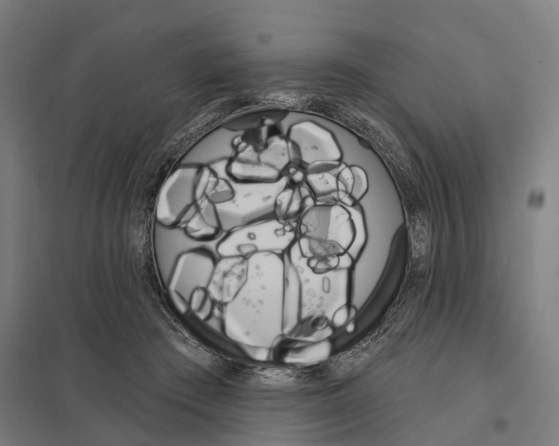 X0000097850409200803281253