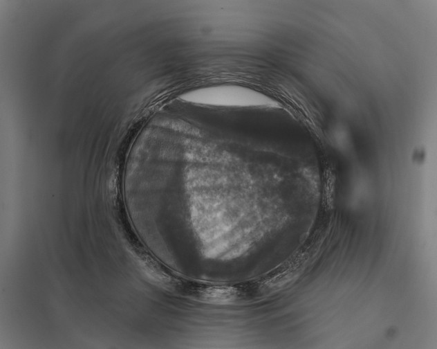 X0000097850410200803281253