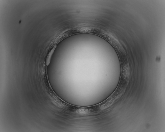 X0000097850413200803281253