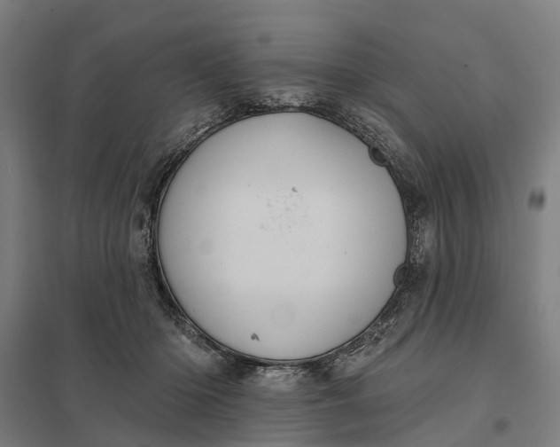 X0000097850414200803281253