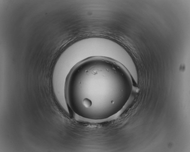 X0000097850415200803281253