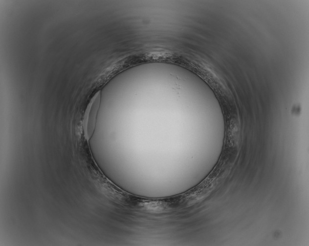 X0000097850417200803281253