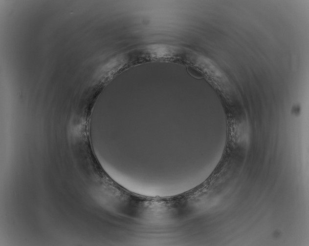 X0000097850419200803281253