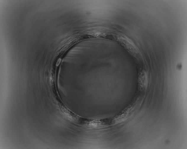 X0000097850420200803281253