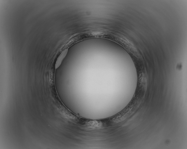 X0000097850421200803281253