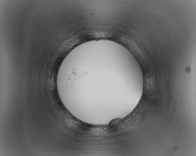 X0000097850422200803281253