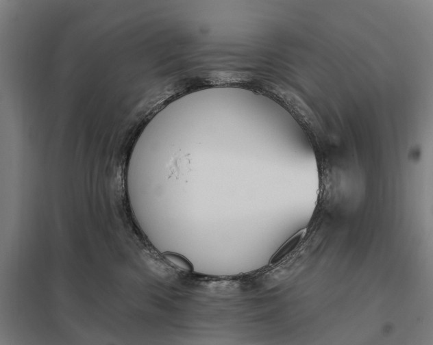 X0000097850426200803281253