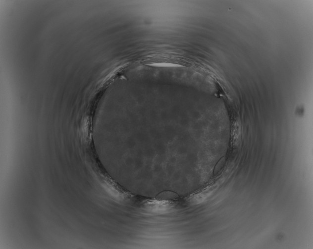 X0000097850428200803281253