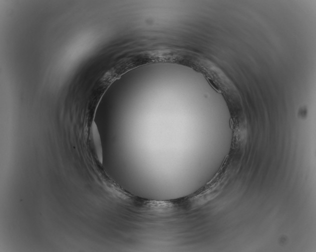 X0000097850429200803281253