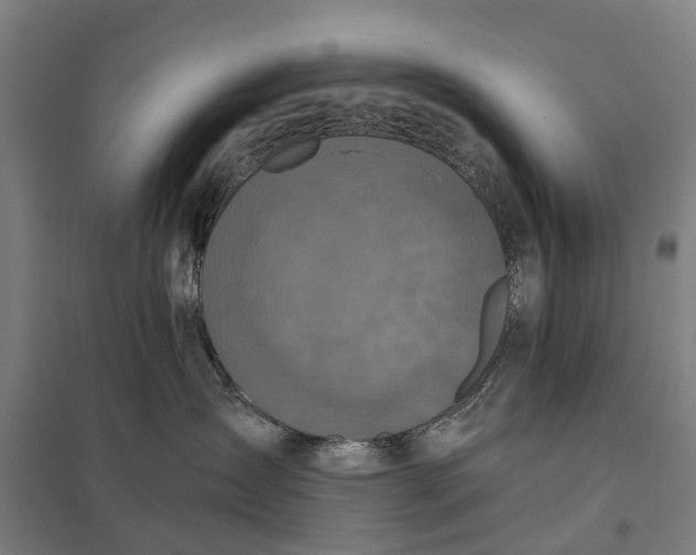 X0000097850431200803281253