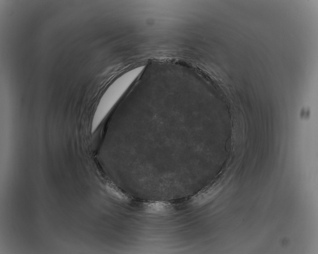 X0000097850432200803281253