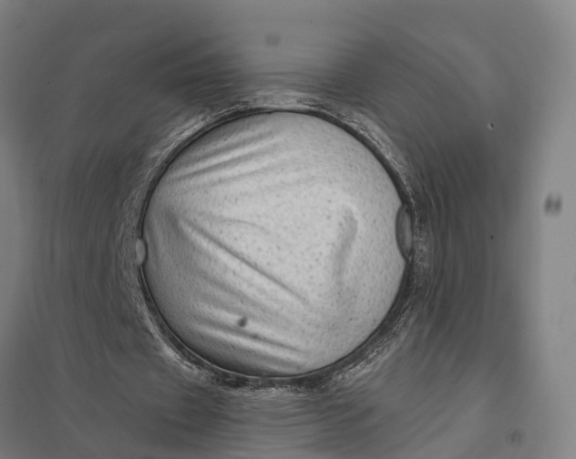 X0000097850433200803281252