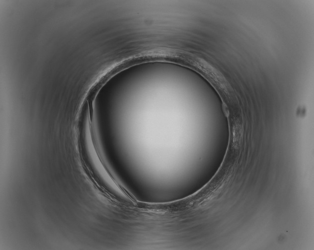 X0000097850436200803281253