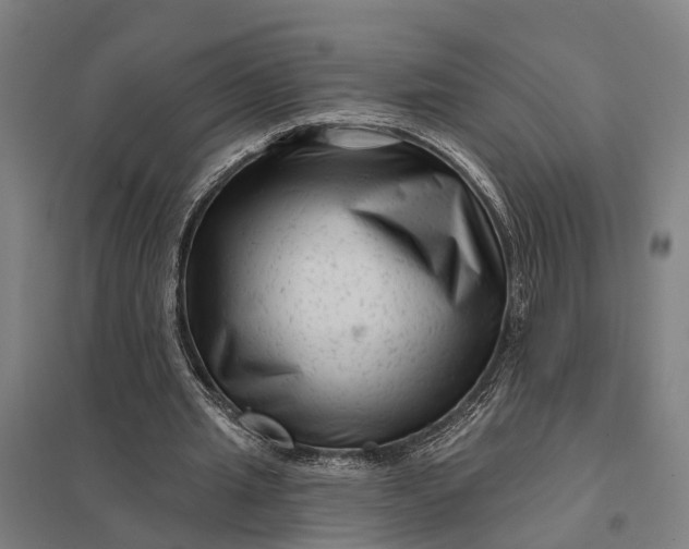 X0000097850437200803281253