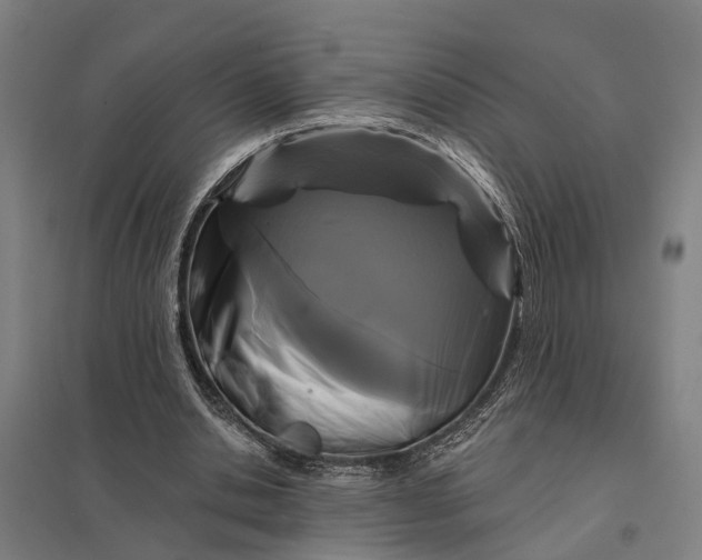 X0000097850438200803281253