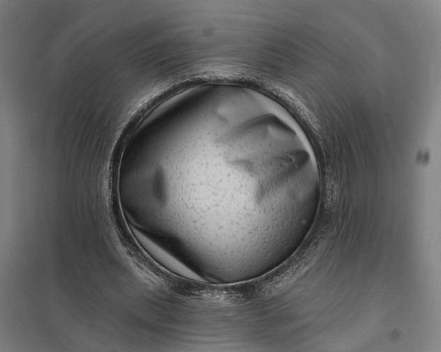 X0000097850439200803281253