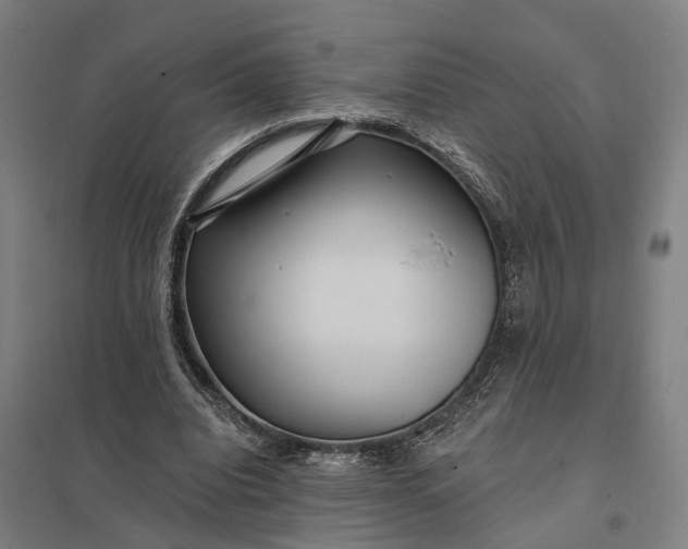 X0000097850440200803281253