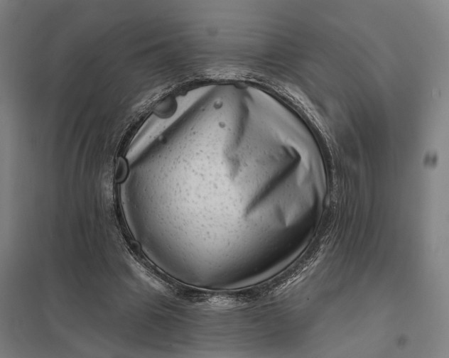 X0000097850441200803281253