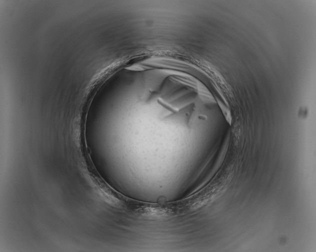 X0000097850442200803281253