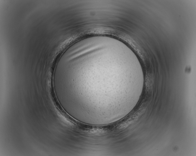 X0000097850445200803281253