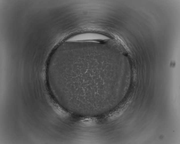 X0000097850447200803281253