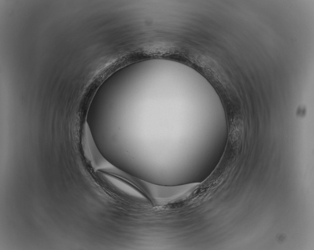 X0000097850448200803281253