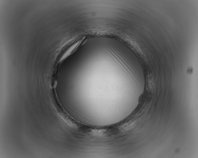 X0000097850450200803281253