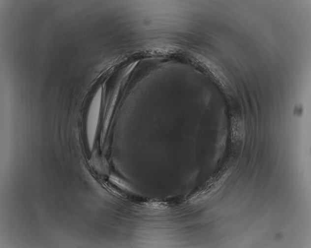 X0000097850451200803281253