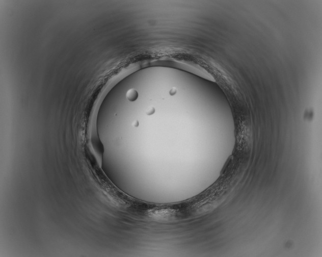 X0000097850452200803281253