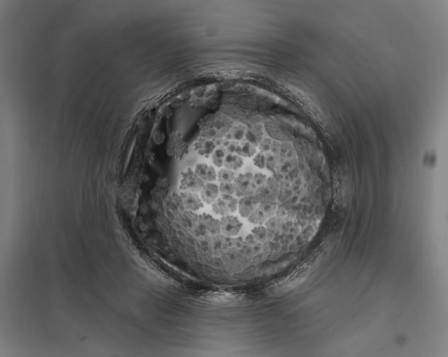 X0000097850453200803281253