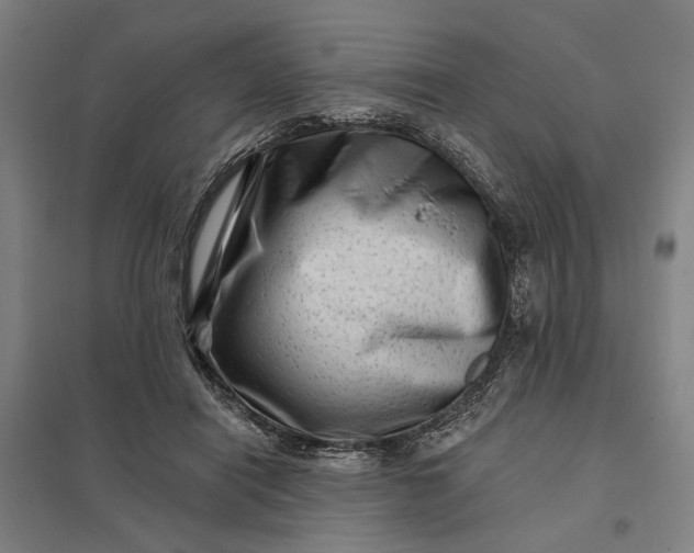 X0000097850454200803281253