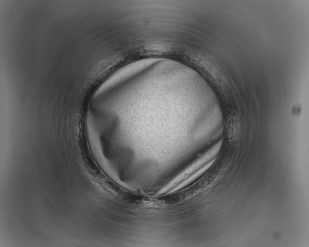 X0000097850455200803281253