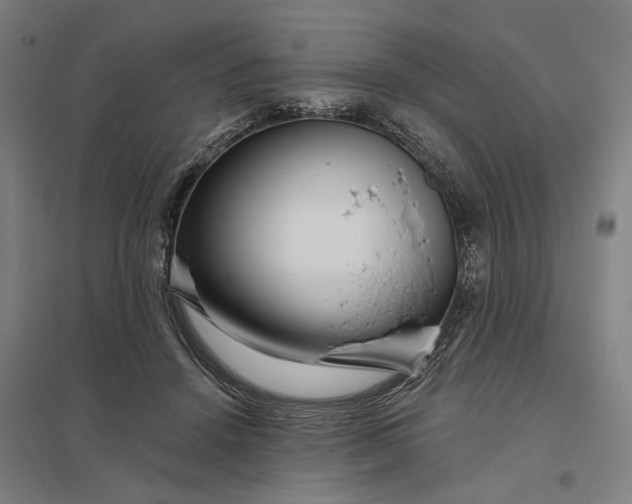 X0000097850456200803281253